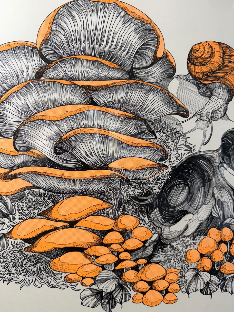 FUNGI