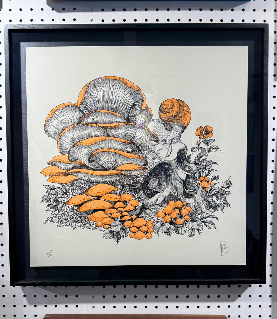 FUNGI