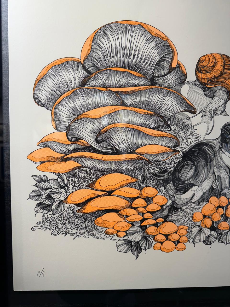 FUNGI