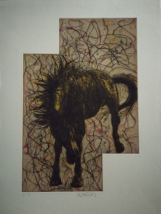 "El Caballo Amarillo"