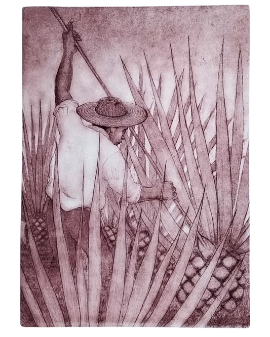 “Jimador”